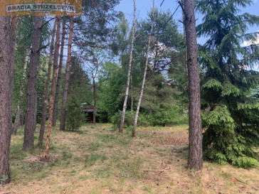 Działka Sprzedaż Borki